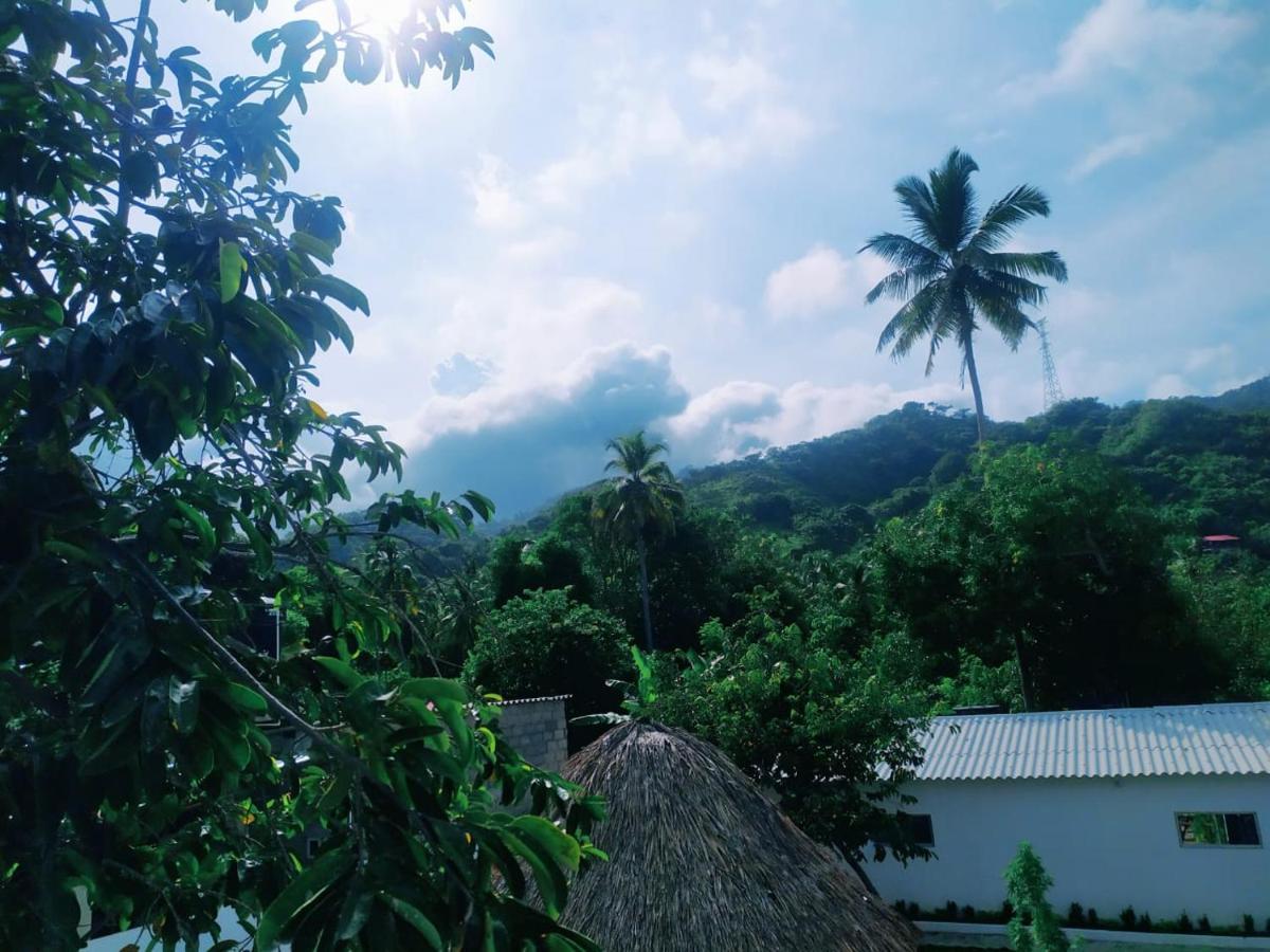 Hostal La Sierra Nevada Palomino Ngoại thất bức ảnh